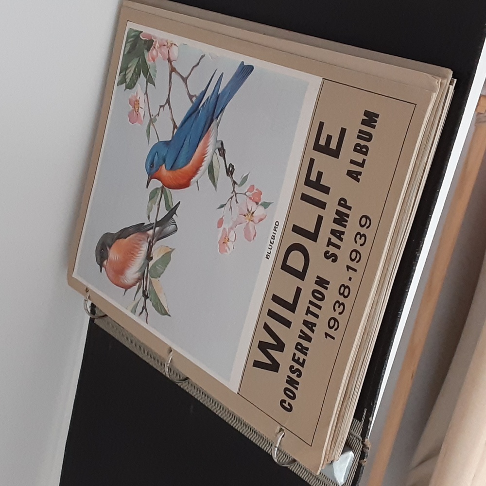 Wildlife Conservation Stamp Albums 1938-39 - 1951 in 3-Ring Binder Vintage